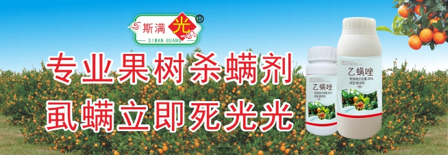 斯滿光